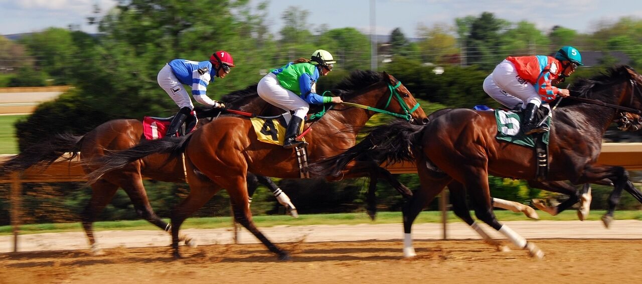 horse racing, race, racehorse, power, speed, equestrian, racing, mustang, strong, fast, horse racing, horse racing, horse racing, horse racing, horse racing